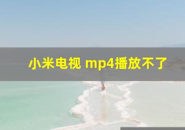 小米电视 mp4播放不了